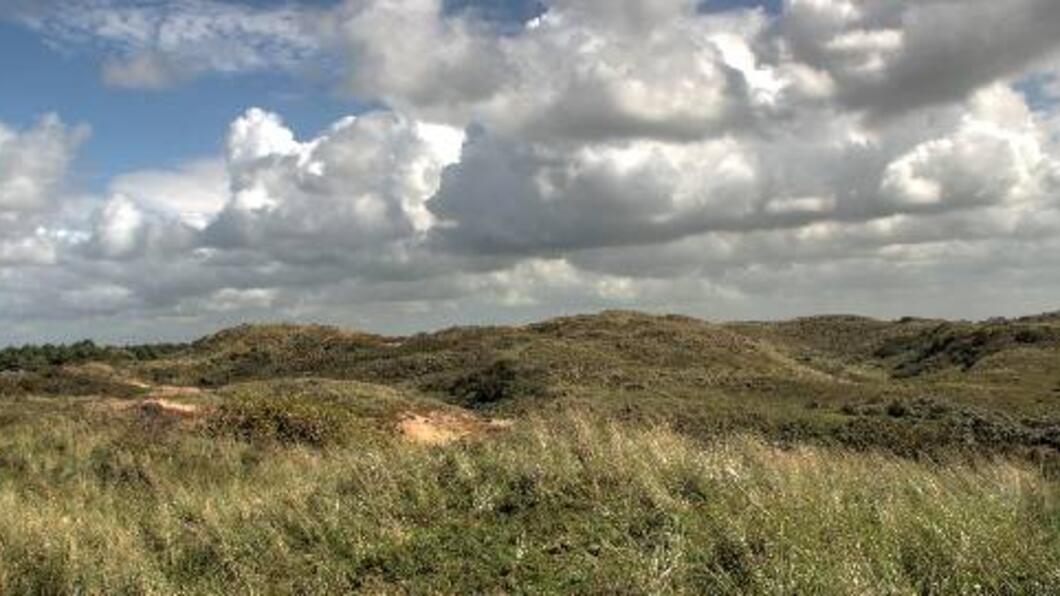 Foto van het Noordhollands Duinreservaat. Bron: PWN