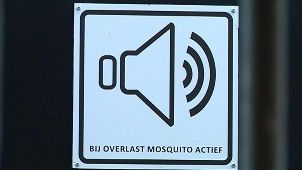 mosquito actief.jpeg