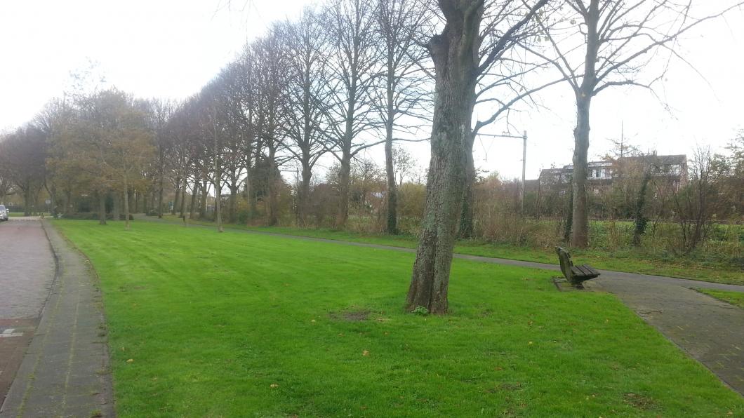 Schelgeest park.jpg