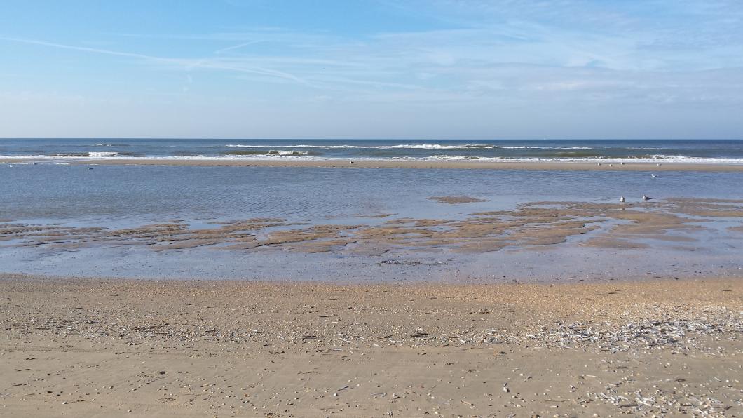 strand castricumrecht.jpg