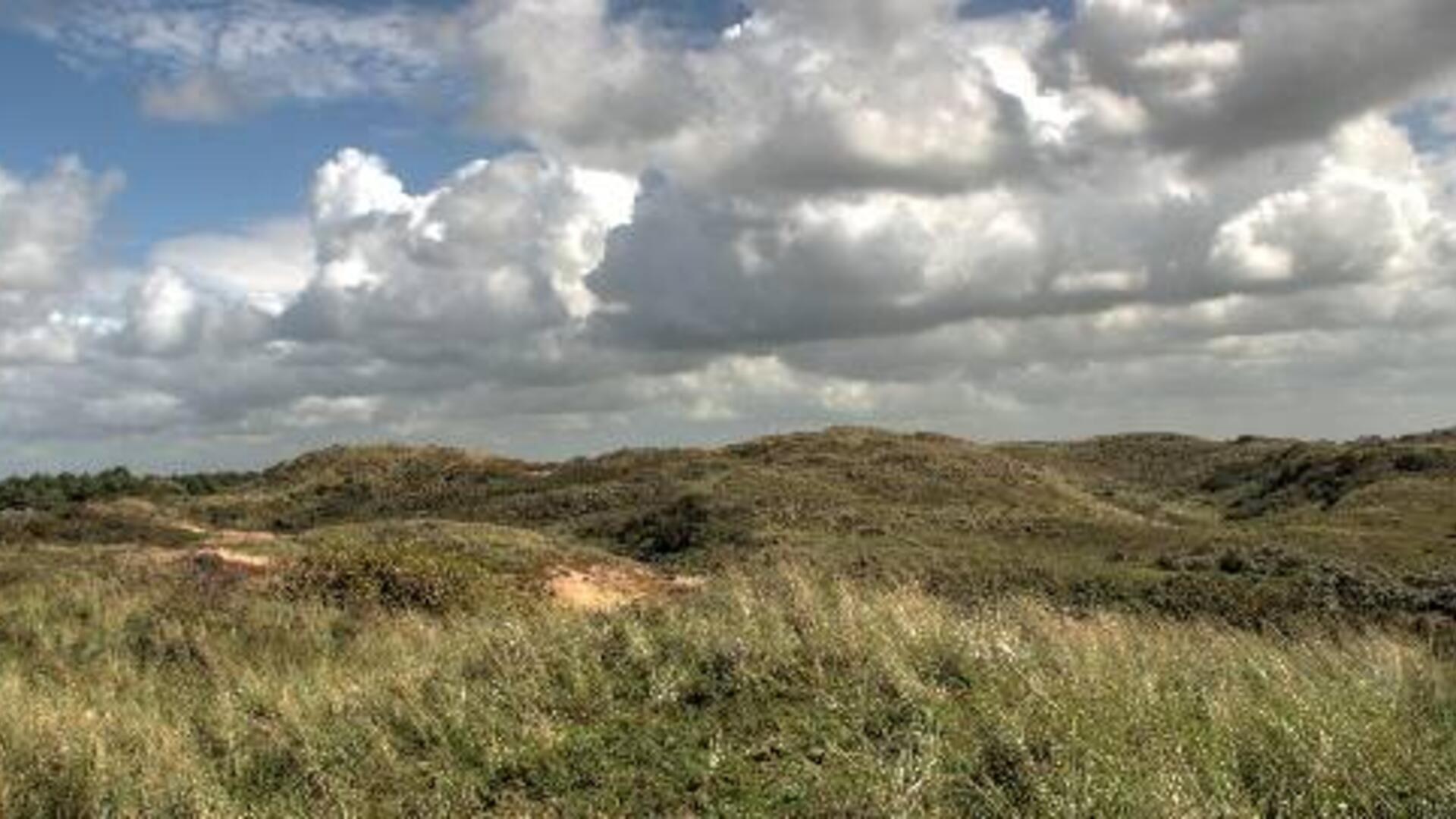 Foto van het Noordhollands Duinreservaat. Bron: PWN