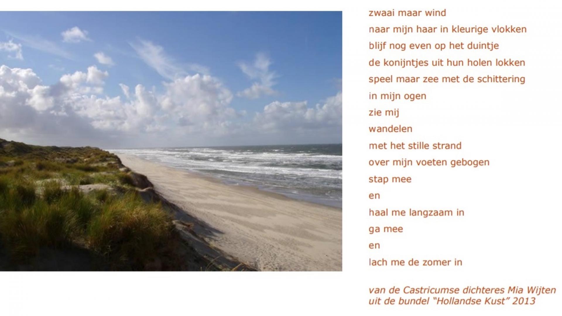Zwaai_maar_wind_cropped.jpg